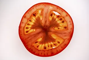 Fruit And Vegetable Images Prints: Slice of a tomato, fruit vegetables