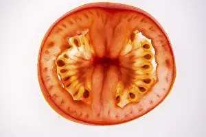 Plain Colored Background Pictures Prints: Slice of a tomato, fruit vegetables