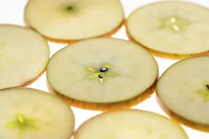 Healthy Eating Tips Prints: Sliced apple