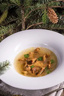 Homemade Meal Ideas Prints: Slight mushroom broth
