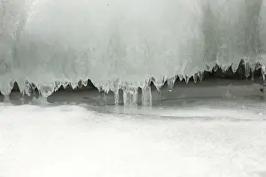Frosty Winter Scene Prints: Slots of little thin with tiny icicles dripping spring