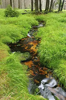 Hilly Countryside Landscape Photo Prints: Small brook flows through high moor