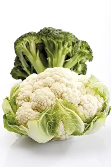 Brassicaceae Family Plants Prints: Small cauliflower and broccoli