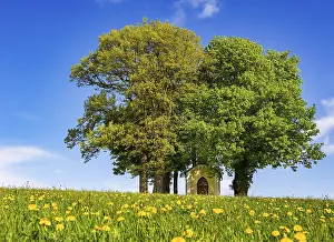 Deserted Chapel In Austria Prints: Small chapel between lime tree and chestnut tree