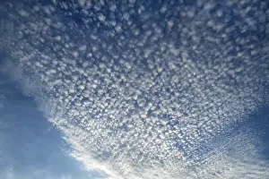Cirrocumulus Clouds Prints: Small cirrocumulus clouds, herringbone sky