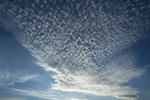 Cirrocumulus Clouds Prints: Small cirrocumulus clouds, herringbone sky