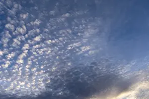Cirrocumulus Clouds Prints: Small fleecy clouds (Cirrocumulus) at evening sky