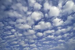 Cirrocumulus Clouds Prints: Small fluffy clouds, Cirrocumulus