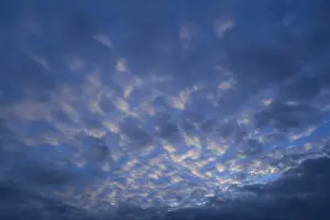 Atmospheric Cloudy Skies Prints: Small fluffy clouds, cirrocumulus