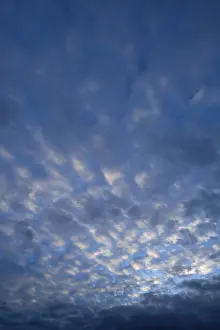 Cirrocumulus Clouds Prints: Small fluffy clouds, cirrocumulus