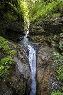 Bernese Alps Landscape Prints: Small mountain stream in the forest