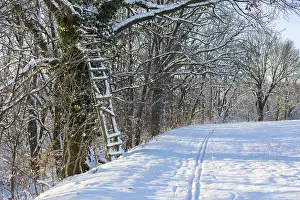 European Winter Landscape Photography Prints: Small path at the edge of a field