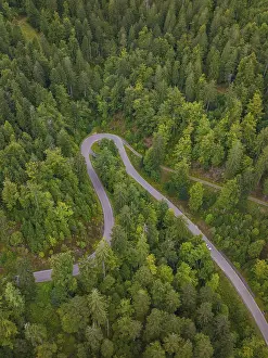 European Landscape From Above Prints: Small road winds through dense forest