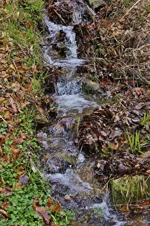 Deserted Waterfront Photos Prints: Small stream in early spring, Germany