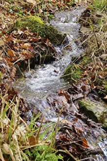 Images Dated 13th March 2024: Small Stream in Early Spring Print, Germany
