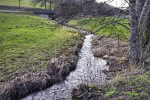 Central Europe Water Scene Prints: A small stream flows through a green landscape