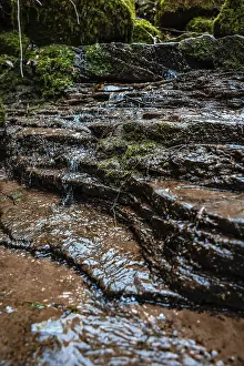 German Forest Landscapes Prints: Small stream in the forest, Black Forest