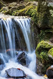 Mountain Torrent Waterfalls Prints: Small stream and waterfall among the moss