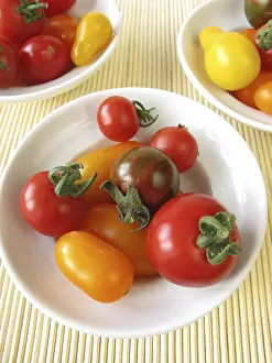 Vegetable Nutrition Prints: Small tomatoes