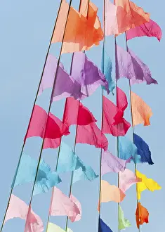 Deserted Landscape Photos Prints: Many small triangular colorful flags
