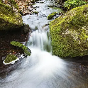 Deserted Forest Landscapes Prints: Small waterfall in the primeval forest