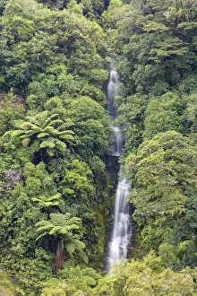 Rainforest Waterfall Photography Prints: Small waterfall in the rainforest