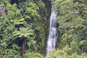 Jungle Waterfall Photography Prints: Small waterfall in the rainforest