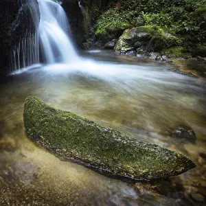 River Landscape Prints: Small waterfall between rocks and plants