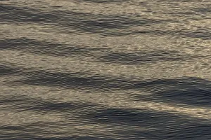 Arctic Ocean Waves Prints: Small waves, ocean surface, Arctic Ocean