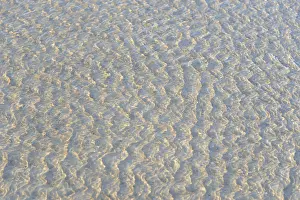 Sandy Ocean Beach In Europe Prints: Small waves on the sandy beach with light reflections
