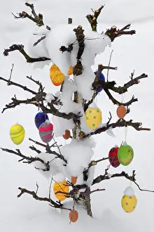 Easter Egg Celebration Prints: Snow covered Easter tree with eggs