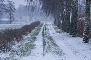 Winter Landscape Germany Prints: Snow-covered path between trees and fields