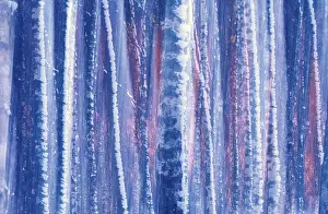 Close Up Tree Trunks Prints: Snow covered trees