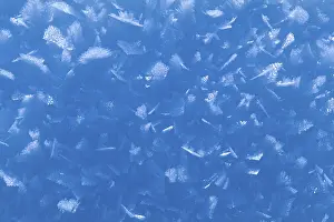 Ice Crystal Formation Prints: Snow crystals