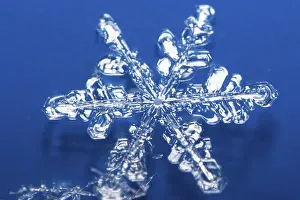 Winter Nature Scene Prints: Snow crystals