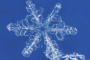 Open Air Winter Landscapes Prints: Snow crystals