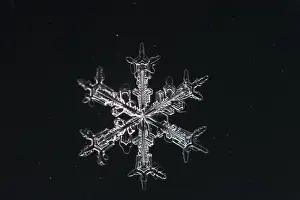 Wintry Landscape Photo Prints: Snow crystals