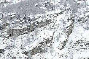 Wintry European Landscape Photo Prints: Snow-draped cliffs with sparse trees on a mountainous winter landscape