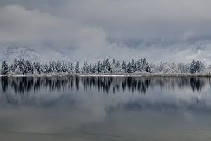 Snow Covered Trees Europe Prints: Snow, lake, trees, reflection, clouds