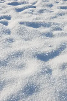 Snow Capped Mountain View Prints: Snow in a meadow