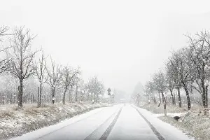 Snowy Country Lane Prints: Snowfall
