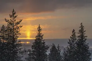 Northern Europe Snowfall Prints: Snowfall against light, Gallivare