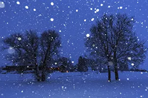 Evening Sky Over The Alps Prints: Snowflakes, snowfall, twilight