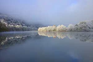 Snow Covered Trees Europe Prints: Snowy trees are reflected in the quiet river