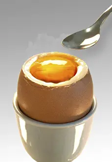 Empty Plate Food Photography Prints: Soft-boiled egg with a spoon