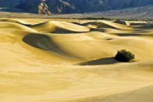 Death Valley National Park Prints: SONY DSC