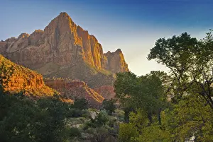 Zion National Park USA Prints: SONY DSC