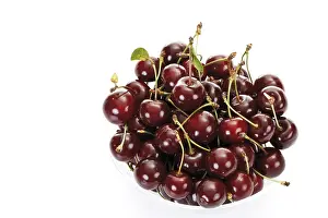 Sour Cherries Print
