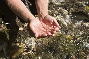 Mountain Stream Austria Prints: Source of Isar in Tyrol - Austria
