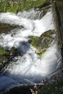 Mountain Creek Waterfall Prints: At the source of the Lippe in Bad Lippspringe